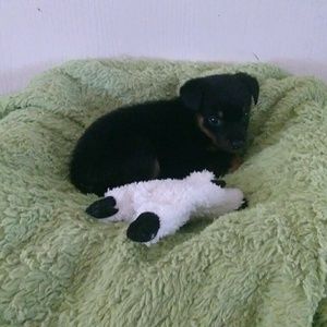 Meet your Posher, Janet